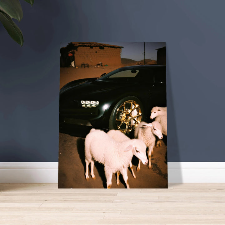 5136182e-4023-4939-9765-72889a931644