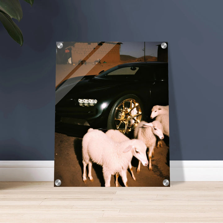 5fc2877c-679d-47f3-b095-fcbfdf23031d