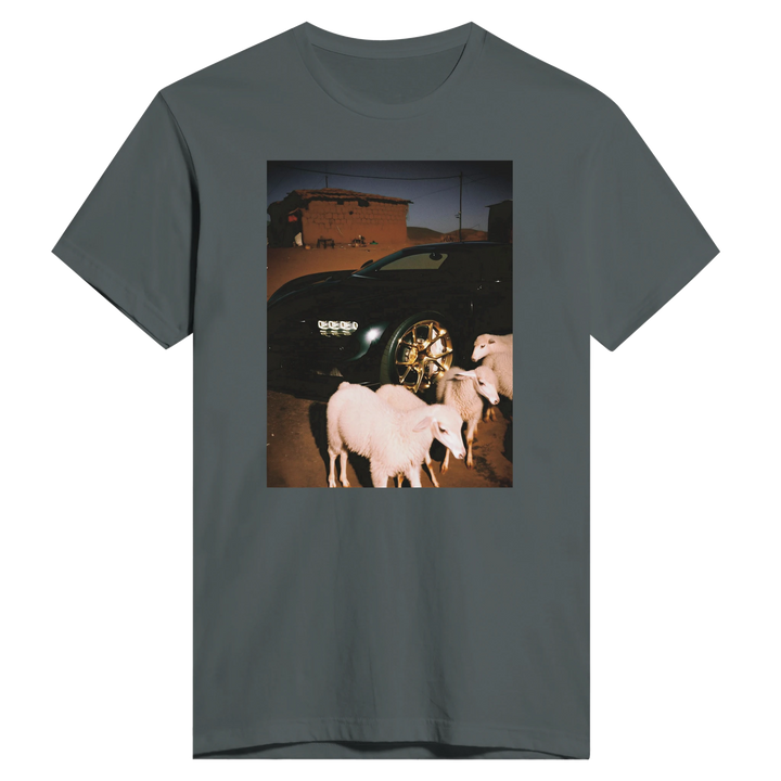 76f74585-9e56-47a4-9705-278b5bfc572c