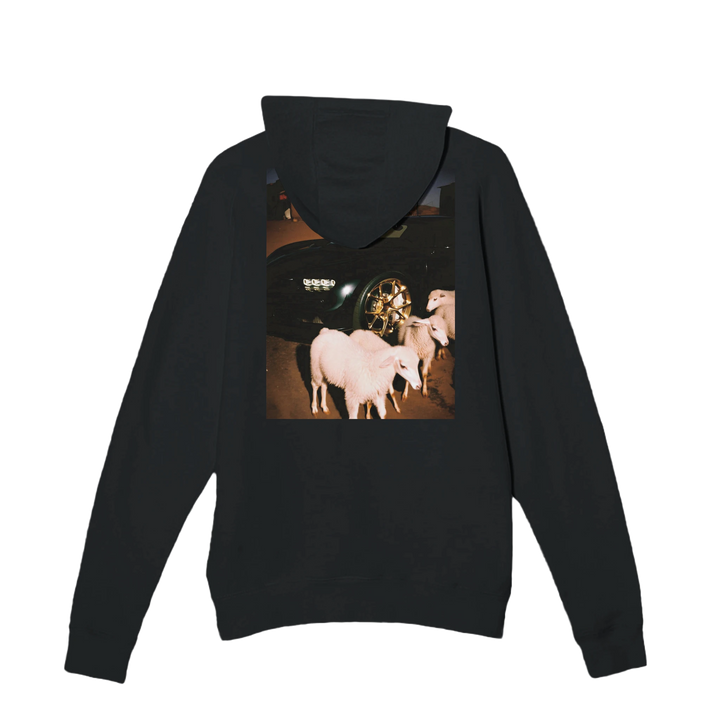 a3620d5b-9fca-462c-83d3-5980dbb697b0