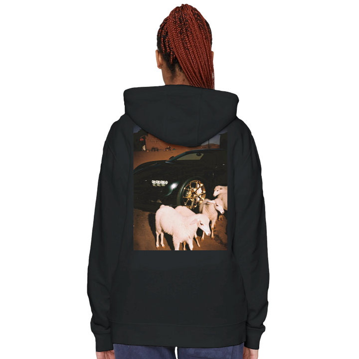 c405a7fb-e31f-491e-a704-9208e18e120b